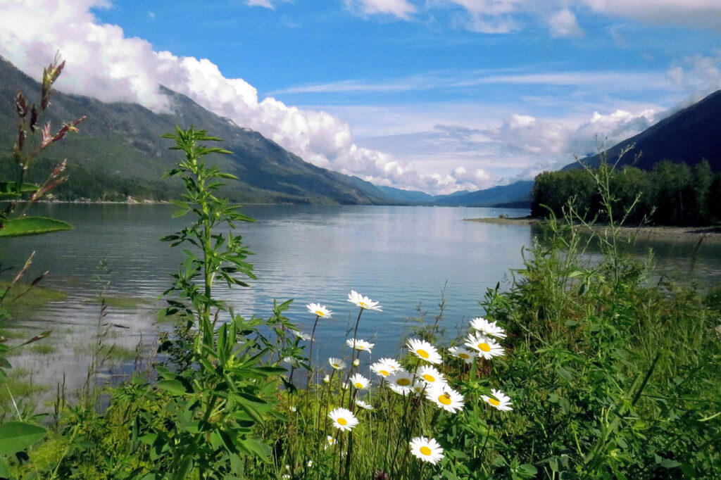 Arrow Lakes adventure cruise