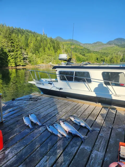 The day's salmon catch laid out on the dock beside the boat
