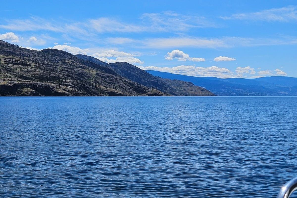 BC fishing licence guide
