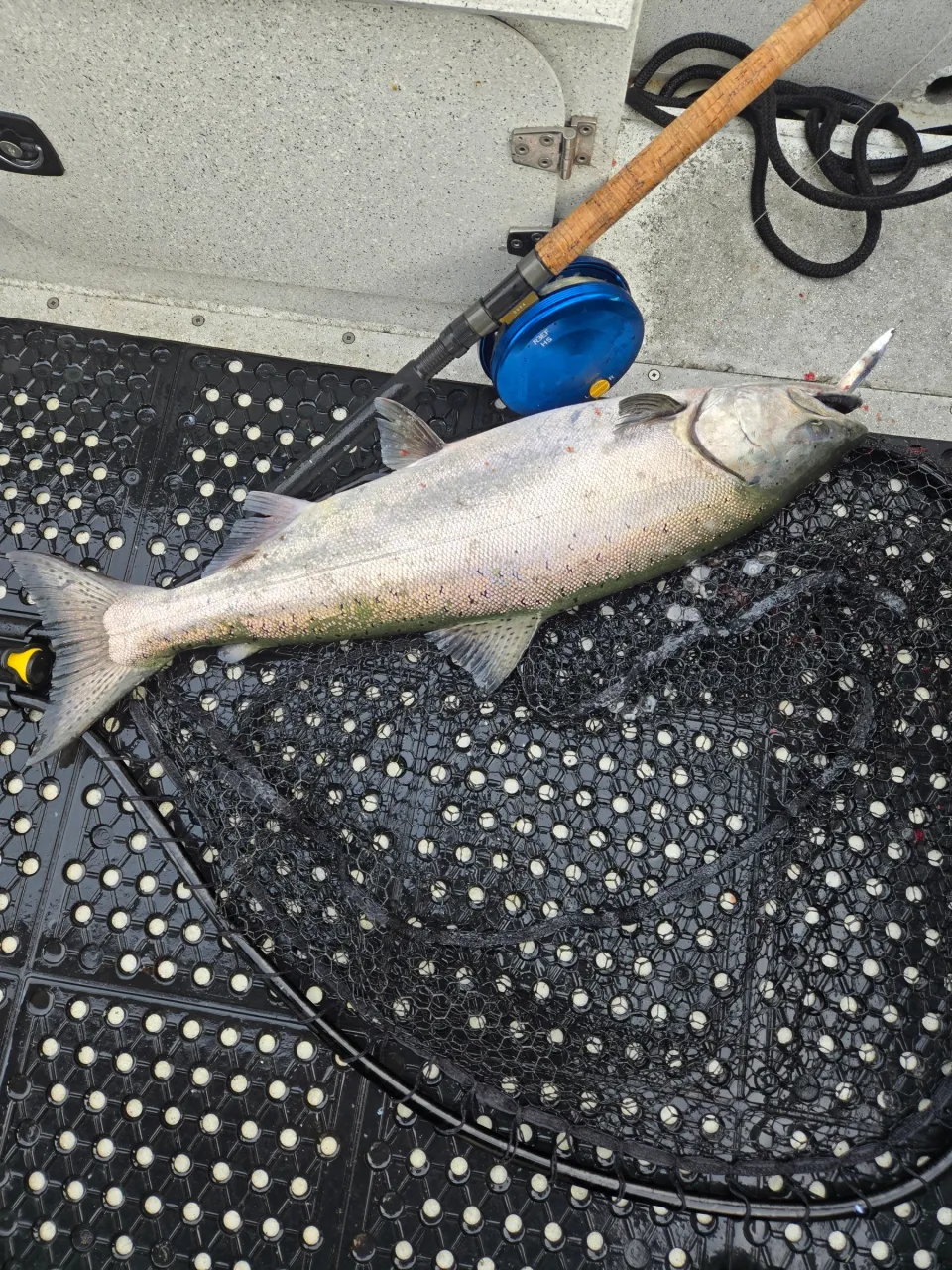 Outdoor Adventures BC fishing charter photo