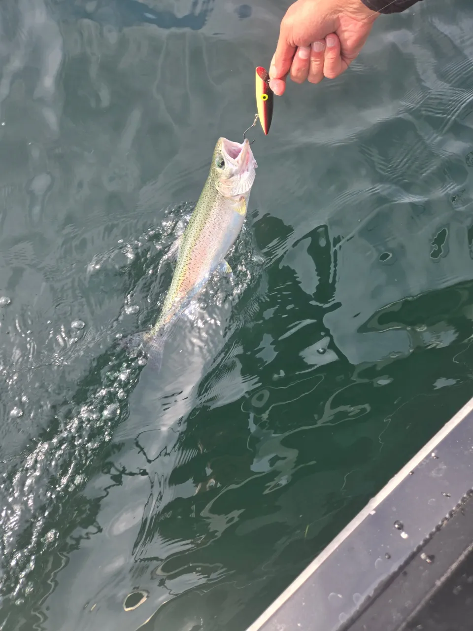 Outdoor Adventures BC fishing charter photo
