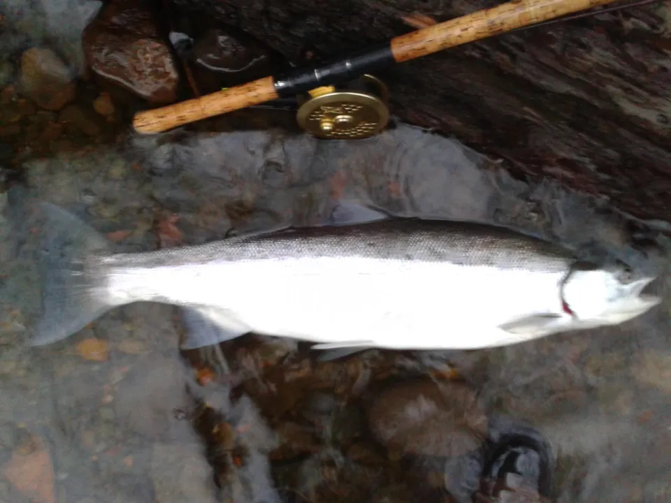 Outdoor Adventures BC fishing charter photo
