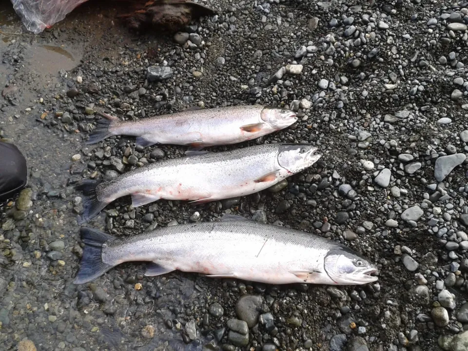 Outdoor Adventures BC fishing charter photo