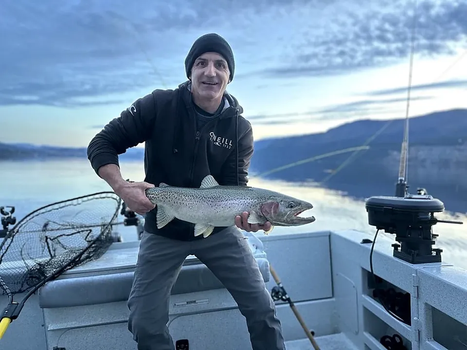 Golden-hour rainbow trout